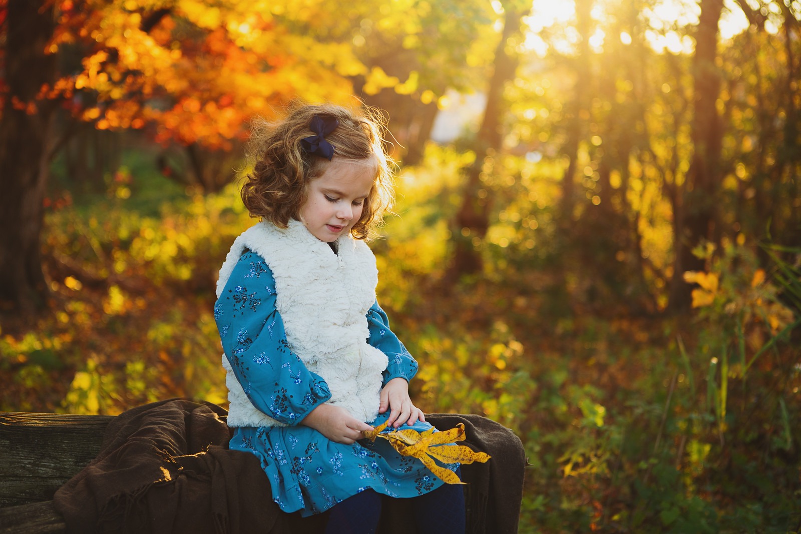 Fall in the Woods of Cylburn Arboretum 3