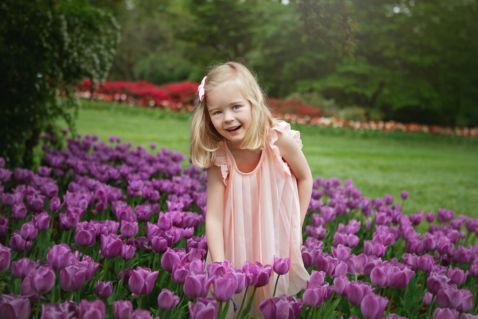 Girl with Purple Tulips in Sherwood Gardens