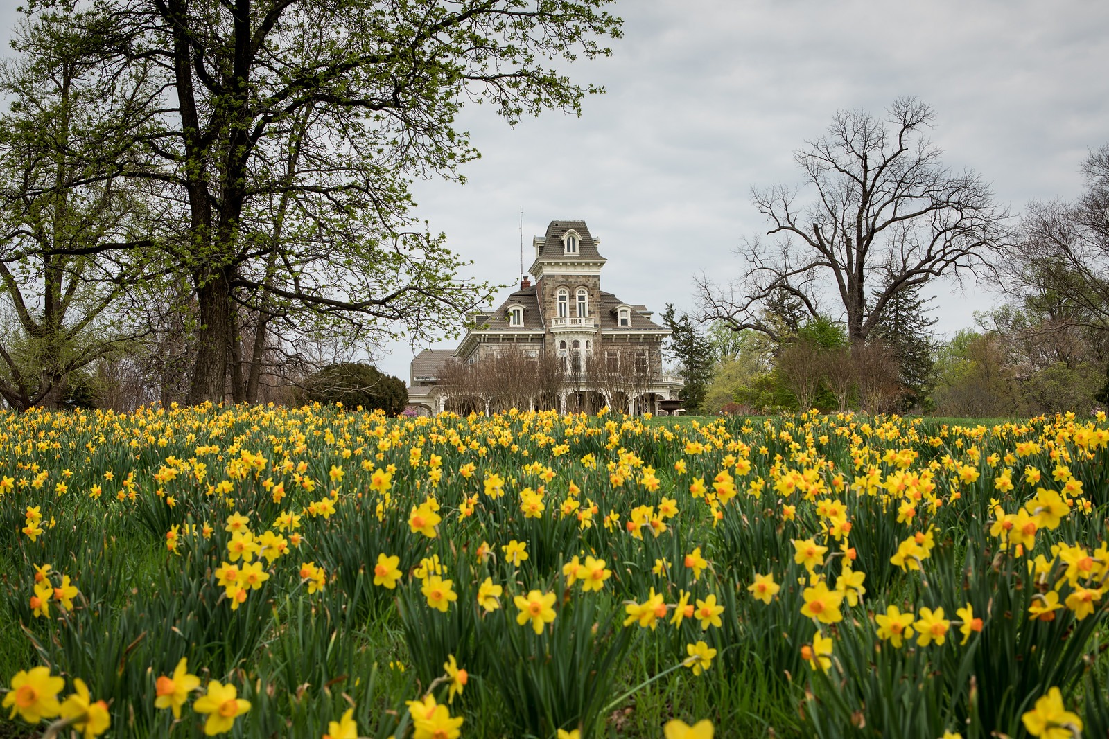 Mansion in Spring in Cylburn Arboretum