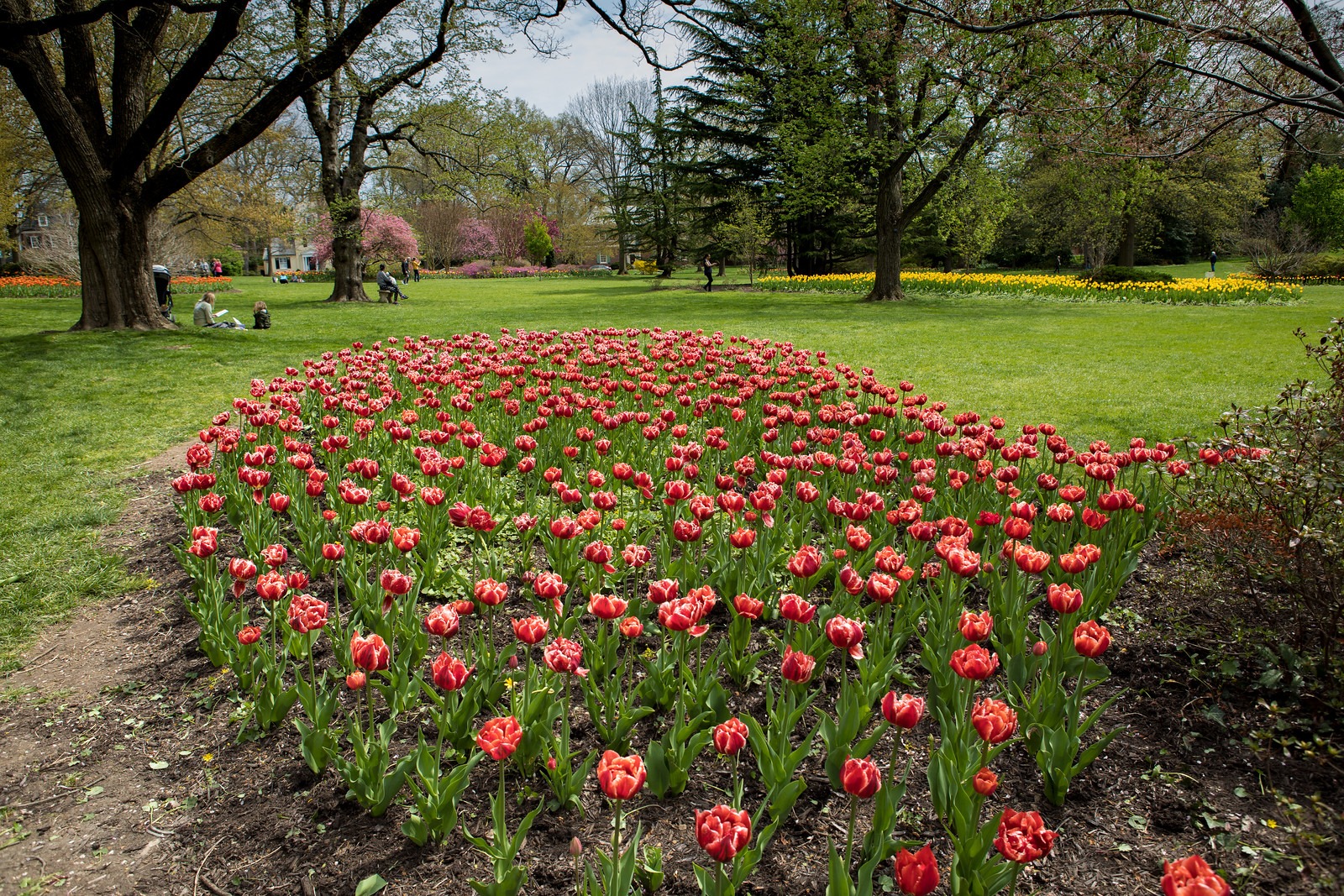 Picnic Area in Sherwood Gardens