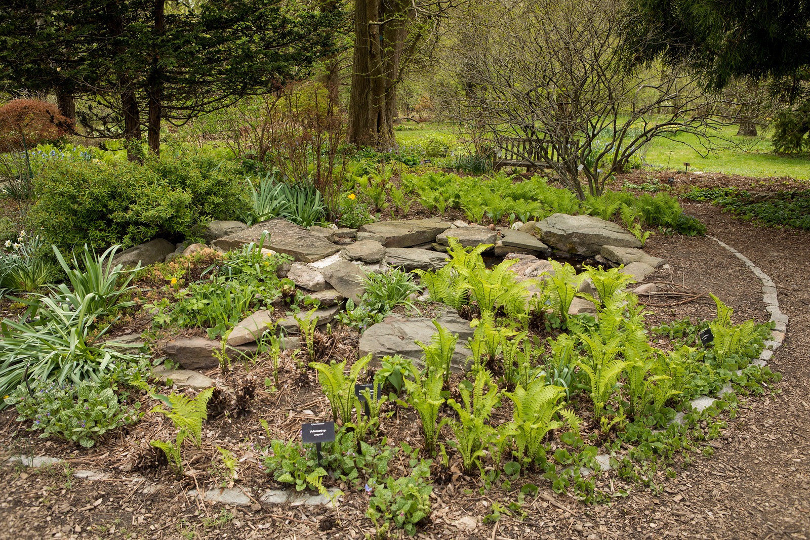 Spring Garden in Cylburn Arboretum