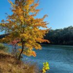 Loch Raven Reservoir near Cockeysville