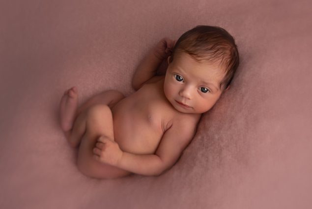 Newborn portrait picture