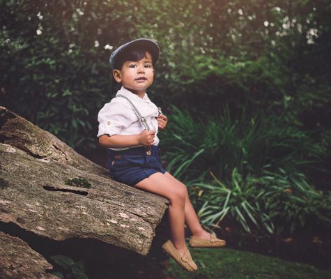 Portrait of a boy sitting on a tree