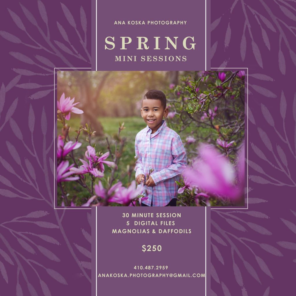 Spring 2019 Mini Sessions Offer