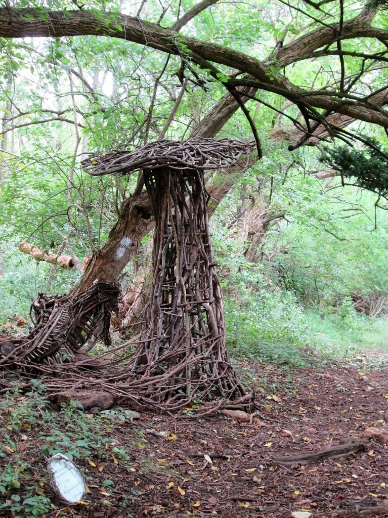 A tree in Leakin Park