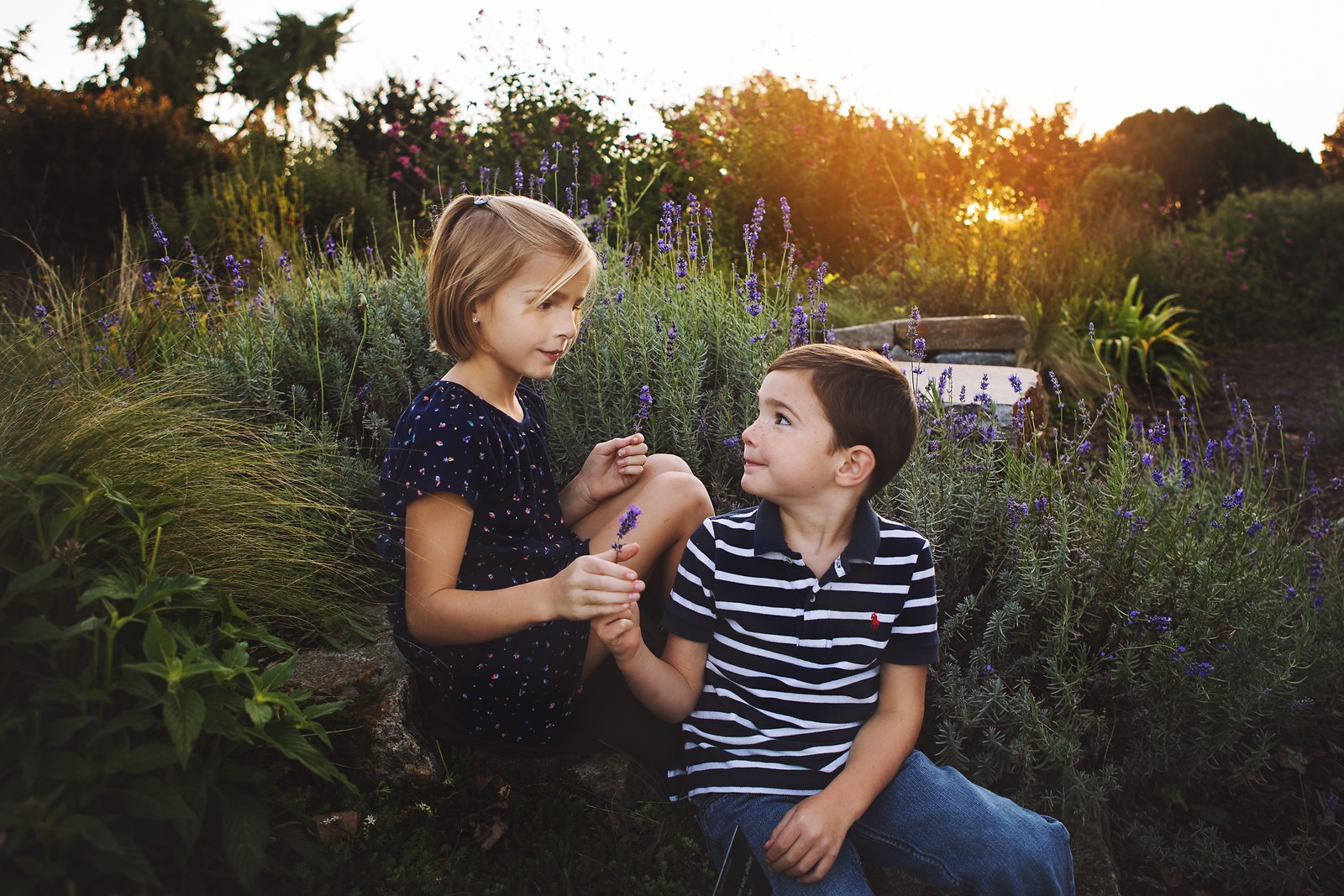 Siblings in Lavender Field in Cylburn Arboretum