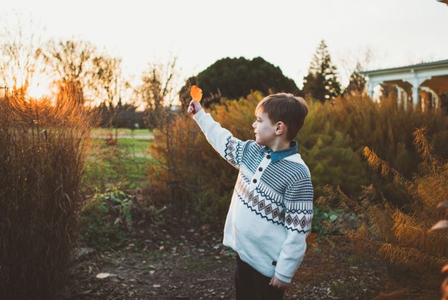 Boy holding a leaf in sunset