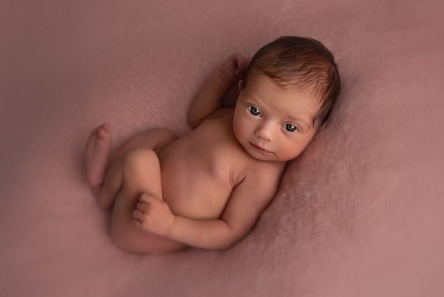 Newborn portrait picture