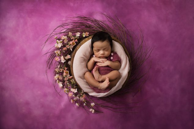 Inspiration for newborn setup in purple