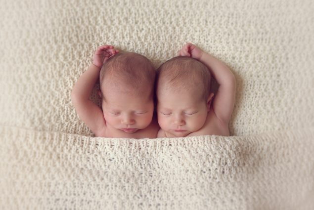 Twins newborn in studio photography session